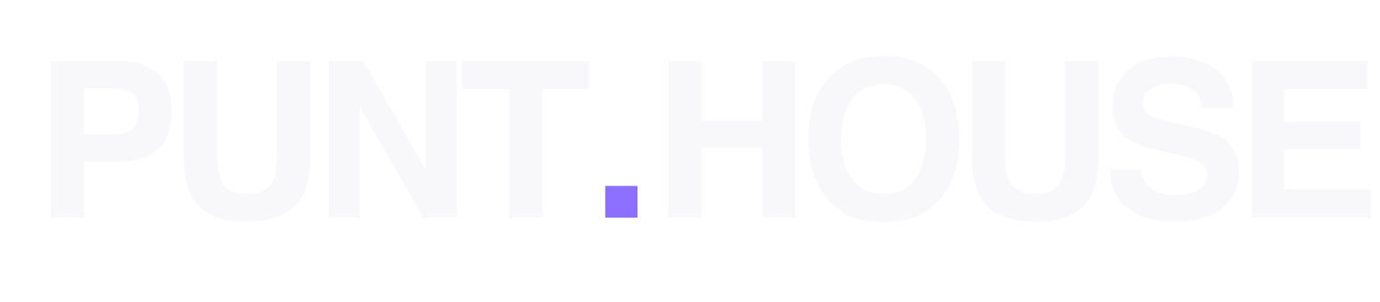 Punt.house wordmark only